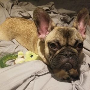 Meet your Posher, Alexandra